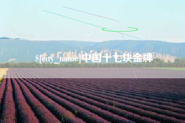 南县中国十七块金牌