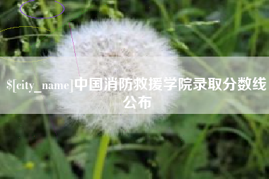 南县中国消防救援学院录取分数线公布