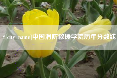 南县中国消防救援学院历年分数线