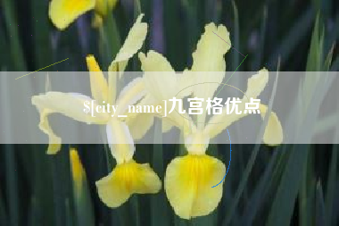 南县九宫格优点