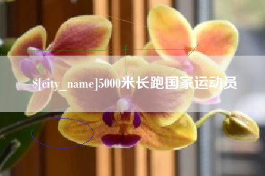 南县5000米长跑国家运动员