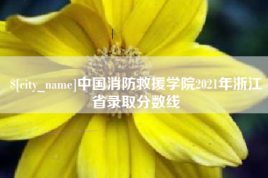 南县中国消防救援学院2021年浙江省录取分数线