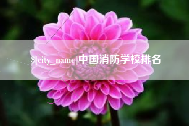 南县中国消防学校排名