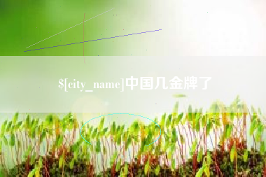南县中国几金牌了