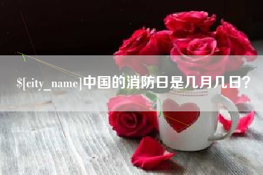 南县中国的消防日是几月几日？