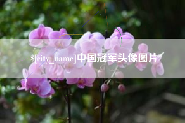 南县中国冠军头像图片