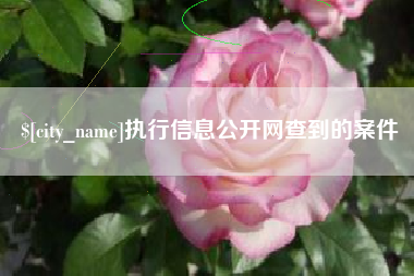 南县执行信息公开网查到的案件