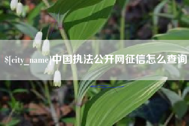 南县中国执法公开网征信怎么查询
