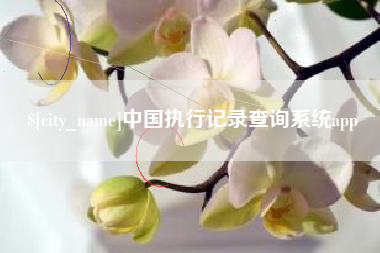 南县中国执行记录查询系统app