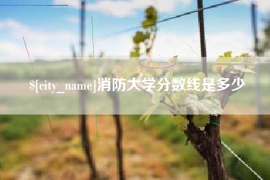 南县消防大学分数线是多少