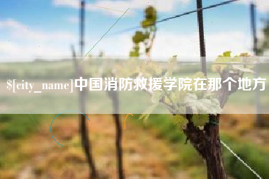 南县中国消防救援学院在那个地方