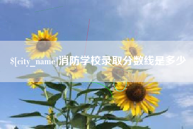 南县消防学校录取分数线是多少