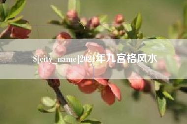 南县2021年九宫格风水