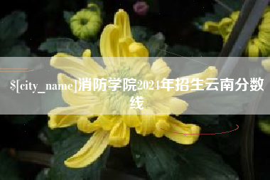 南县消防学院2024年招生云南分数线