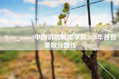南县中国消防救援学院2020年各省录取分数线