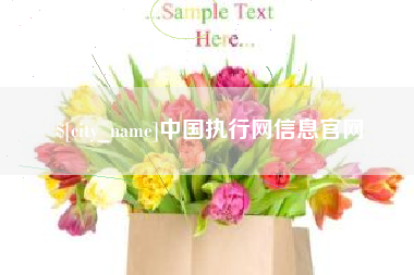 南县中国执行网信息官网