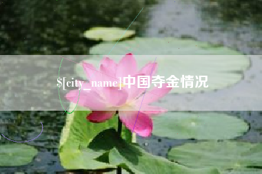 南县中国夺金情况
