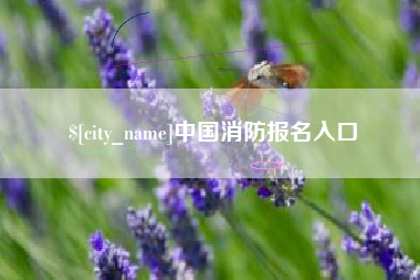南县中国消防报名入口