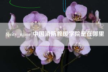 南县中国消防救援学院是在哪里