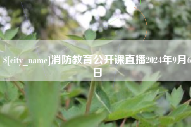 南县消防教育公开课直播2024年9月6日