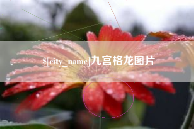 南县九宫格龙图片