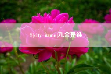 南县九金是谁