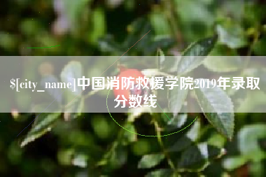 南县中国消防救援学院2019年录取分数线