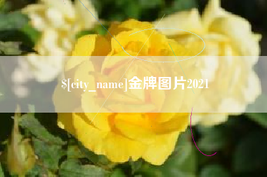 南县金牌图片2021