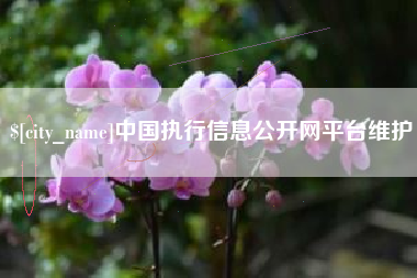南县中国执行信息公开网平台维护