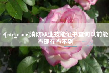 南县消防职业技能证书查询以前能查现在查不到