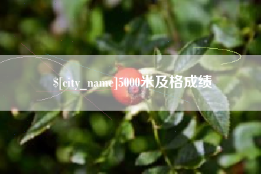 南县5000米及格成绩