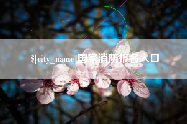 南县国家消防报名入口