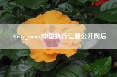 南县中国执行信息公开网后