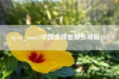 南县中国金牌是哪些项目2021