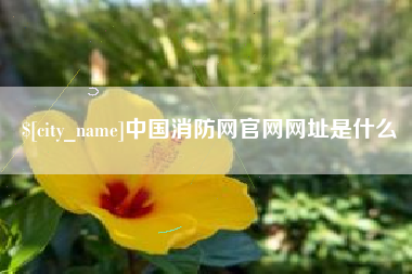 南县中国消防网官网网址是什么