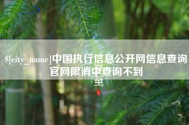 南县中国执行信息公开网信息查询官网限消中查询不到