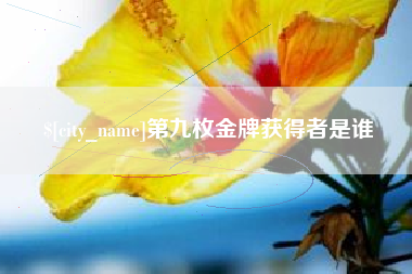 南县第九枚金牌获得者是谁