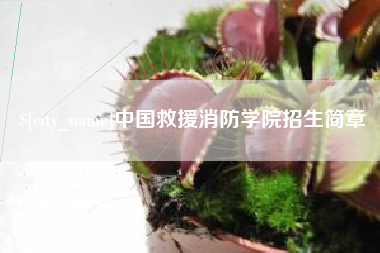 南县中国救援消防学院招生简章