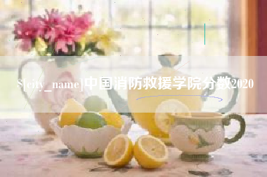 南县中国消防救援学院分数2020