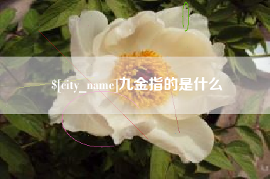 南县九金指的是什么