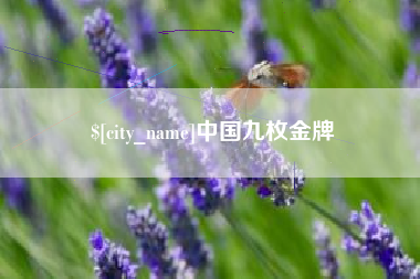 南县中国九枚金牌