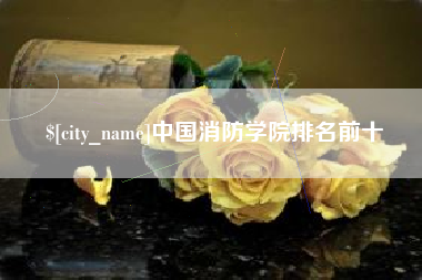 南县中国消防学院排名前十