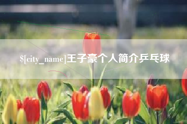 南县王子豪个人简介乒乓球