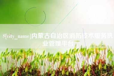 南县内蒙古自治区消防技术服务执业管理平台