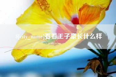 南县看看王子豪长什么样