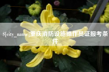 南县重庆消防设施操作员证报考条件