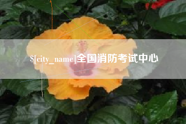 南县全国消防考试中心