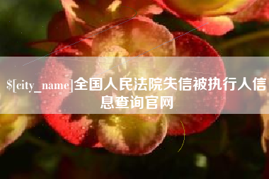 南县全国人民法院失信被执行人信息查询官网
