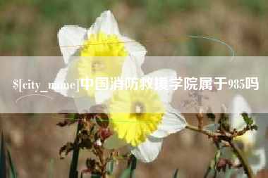 南县中国消防救援学院属于985吗