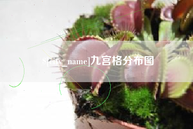 南县九宫格分布图